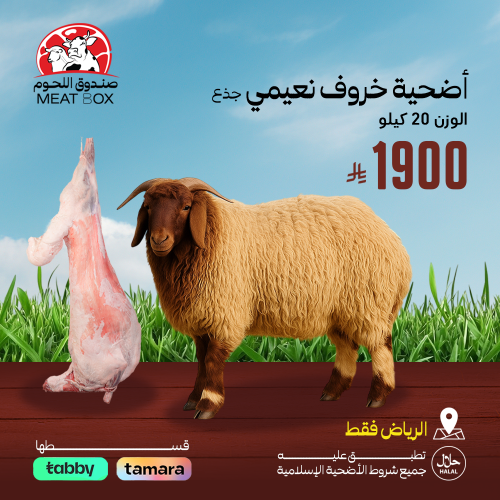 أضحية خروف نعيمي جذع 20 كيلو