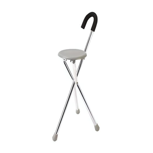 Cane with chair
