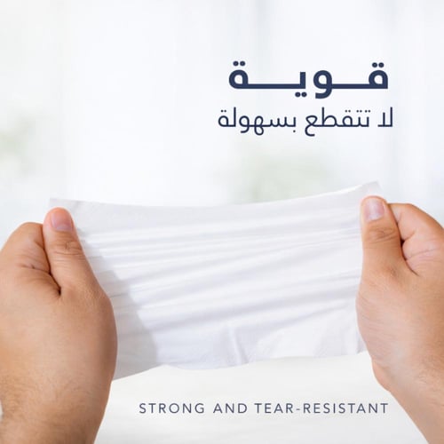 بكج التوفير الكبير