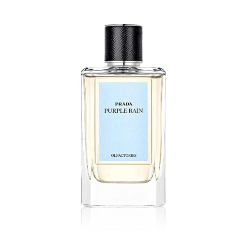 برادا أولفاكتوريز بيربل راين أو دو برفيوم