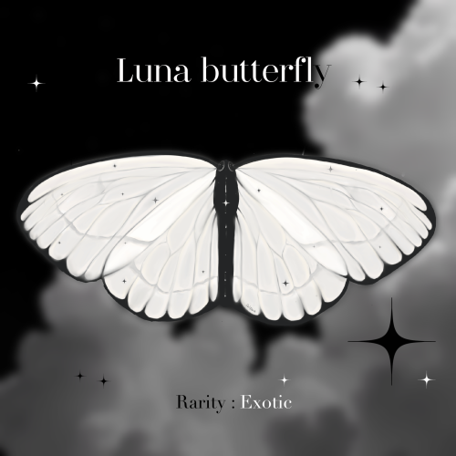 LUNA Butterfly