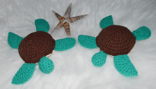 A gentle turtle