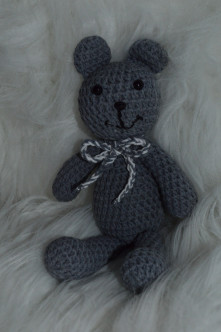 The handsome bear