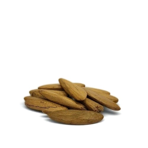 عود ماليزي سوبر مع مبخر مجاني