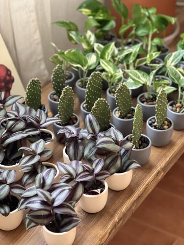 توزيعات العمل