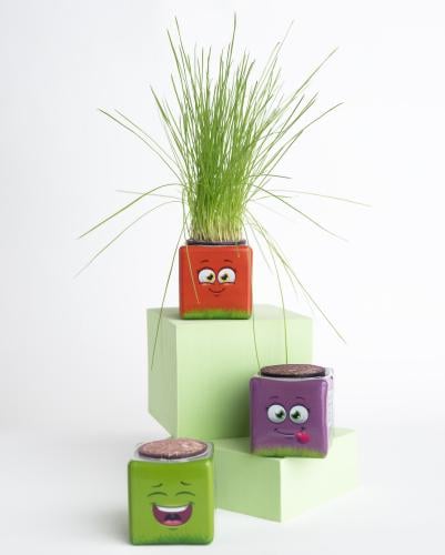 تجربة الوجة السعيد (قطعتين)