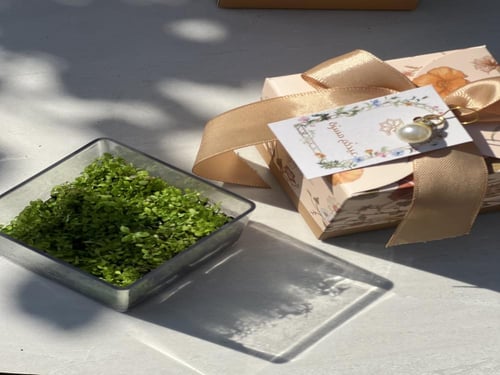 بكيج هدية عيد