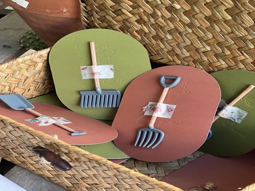 توزيعات البذور