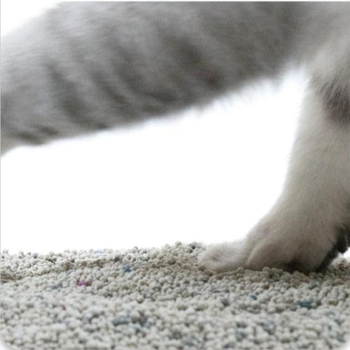 بينتونايت رمل للقطط 25 كيلو