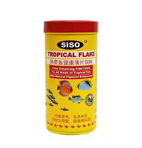 تروبيكال فليك طعام أكل سمك