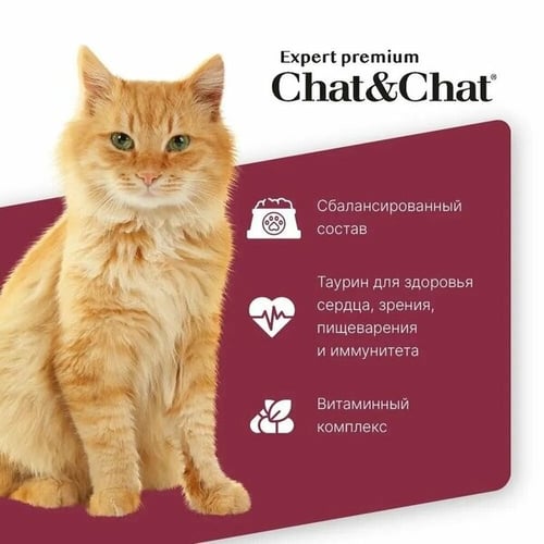 شات اند شات طعام القطط الجاف لحم بقري للقطط البالغ...