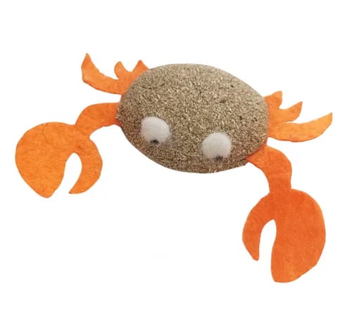 كاتنب اللقطط