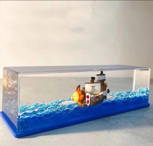 صندوق ساني قو الزجاجي | One piece