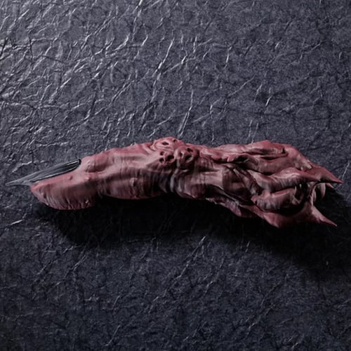 اصبع سوكونا - جوجوتسو كايسن | sukuna finger