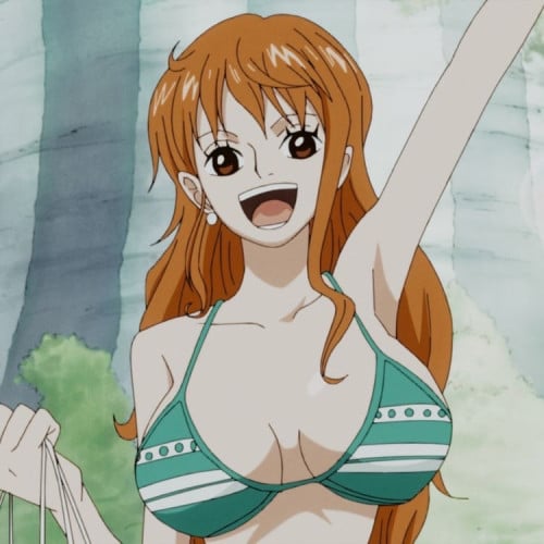 ستيان نامي ون بيس | one piece