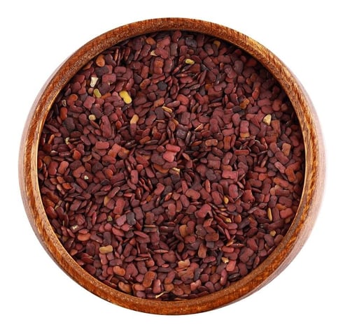 حلبة الخيل