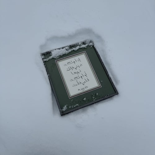 لو لم تكن عيني فإنك نورها