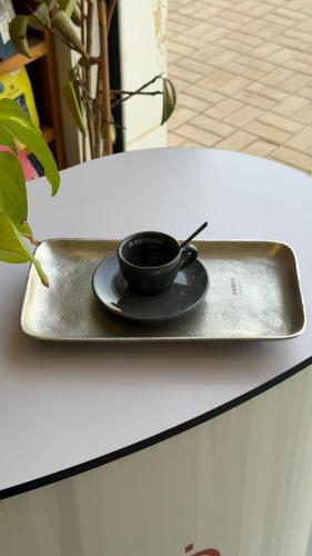 صينيه اسبريسو سيلفر