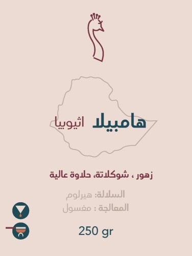 هامبيلا اثيوبي - محمصة الطاؤوس