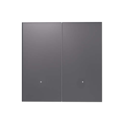 WiFi & BLE smart double Gang grey switch