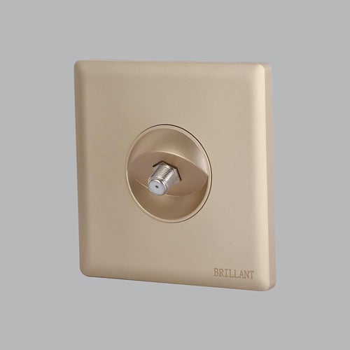 فيش دش ذهبي برلنت لايت