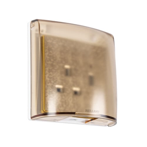 غطاء فيش ذهبي برلنت