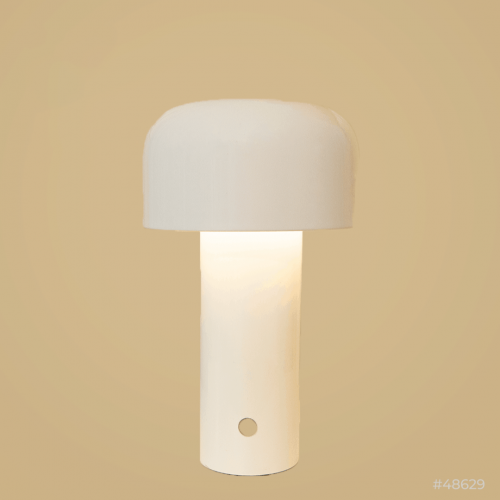 ابجورة بيضاء