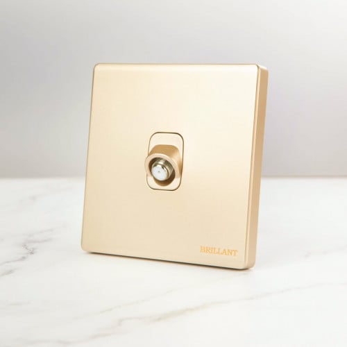 فيش دش مودرن ذهبي برلنت