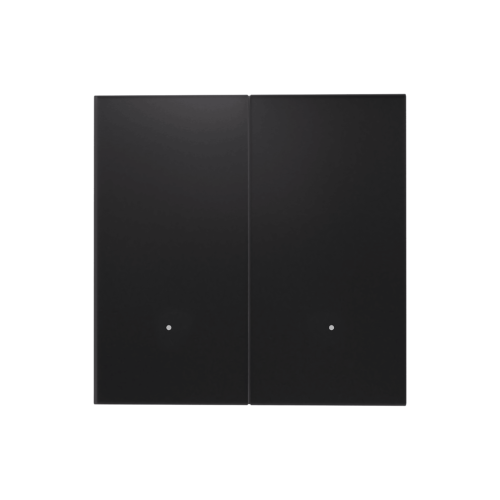 WiFi & BLE smart double Gang black switch