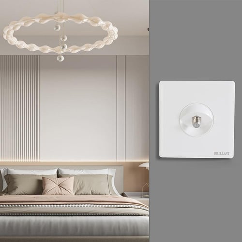 فيش دش أبيض برلنت لايت