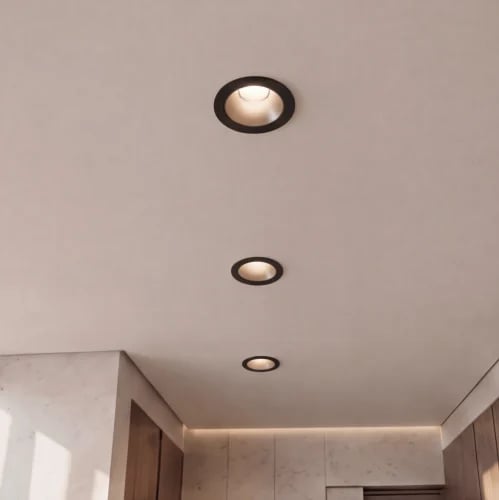 Spotlight Fixture Aluminum Black &White
