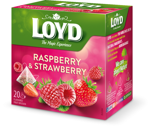 لويد شاي أعشاب توت العليق مع الفراولة عبوة هرمية 2...