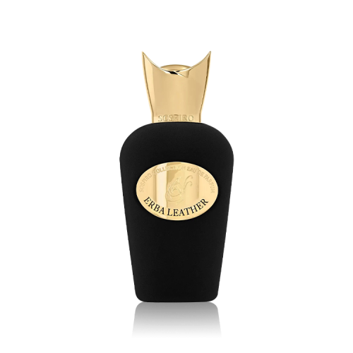 عطر سوسبيرو ايربا ليذر او دو بارفيوم 100مل