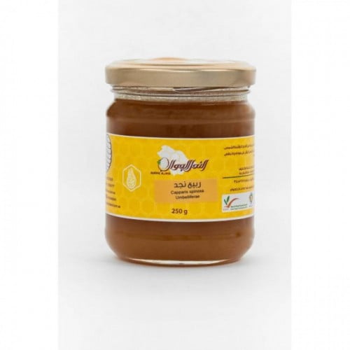 عسل ربيع نجد