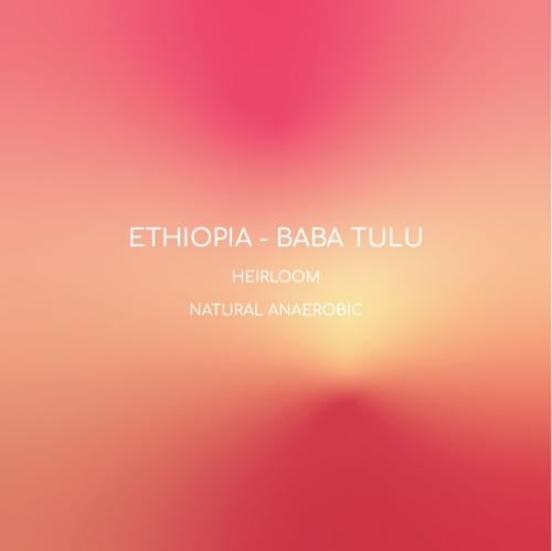 قهوة انلايت بابا تولو إثيوبيا مجففة لاهوائي 250 جر...