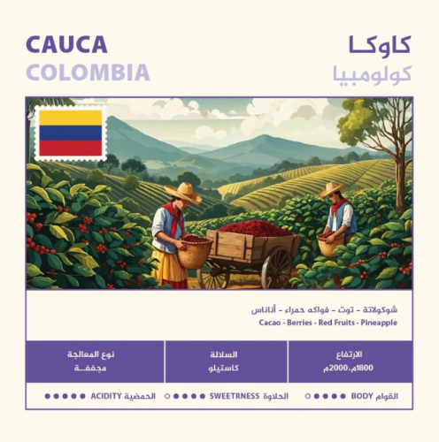 قهوة نهج كاوكا كولومبيا مجففة 250 جرام