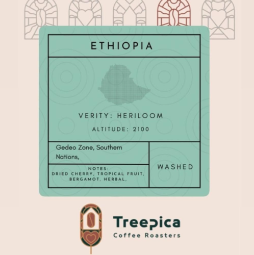 قهوة تريبكا هالو باريتي اثيوبيا مغسولة اثيوبيا 250...