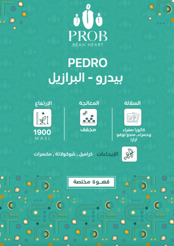 قهوة بروب بيدرو البرازيل مجففة 250 جرام
