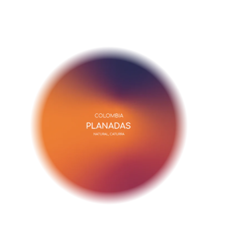 قهوة انلايت بلانداس كولومبيا مجففة 250 جرام