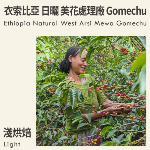 قهوة كاكالوف West Arsi Mewa Gomechu اثيوبيا مجففة...