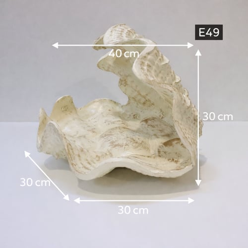 صحن ضيافه بشكل قوقعه