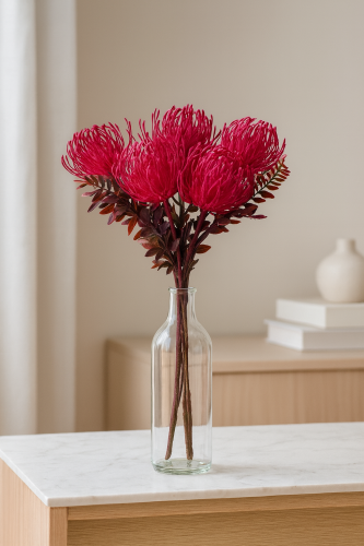 زهرة البروتيا فوشي