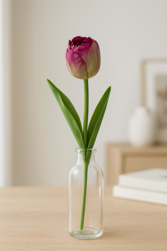 ورد توليب موف غامق