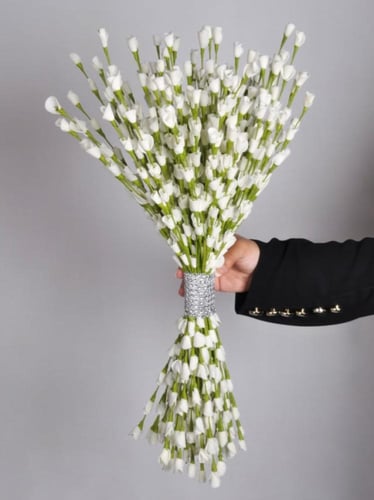 اغصان بلون ابيض