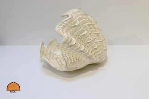 صحن ضيافه بشكل قوقعه