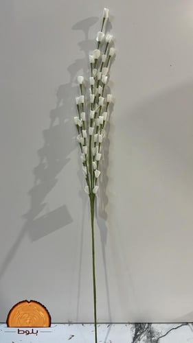 اغصان بلون ابيض