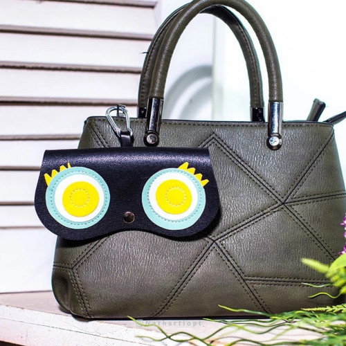 حقيبة نظارة