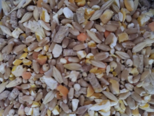 مشكل حمام 7 كيلو