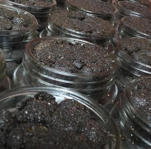 معمول دوسري سبشل