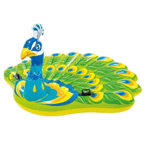 عوامة انتكس- طاووس | Intex Peacock Inflatable Isla...